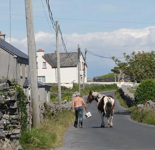 לינה וארוחת בוקר Ard Mhuiris איניס מור